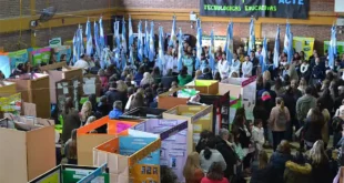 Feria Distrital de Ciencias: estudiantes de Luján presentaron 49 proyectos educativos