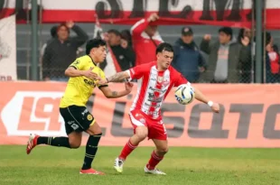 flandria