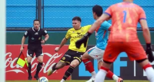 flandria