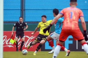 flandria