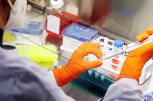 La Provincia financiará la investigación