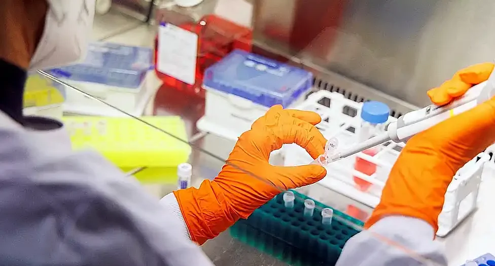 La Provincia financiará la investigación
