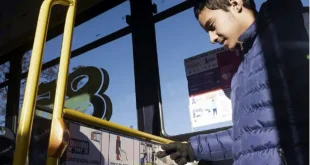 Transporte público: la Provincia suma pictogramas
