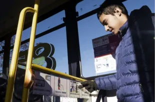 Transporte público: la Provincia suma pictogramas