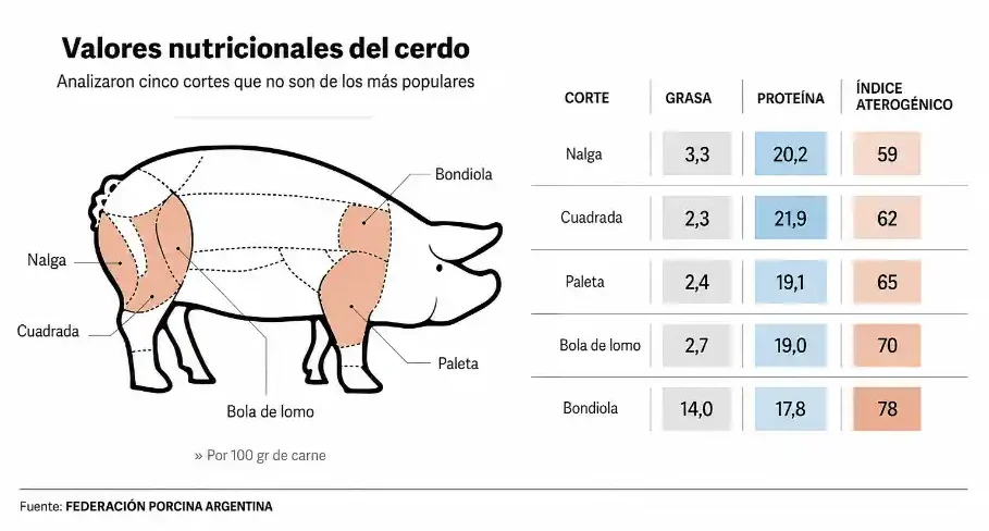 Cuál corte de cerdo es más saludable según un estudio del INTI 4 valores nutricionales del cerdo