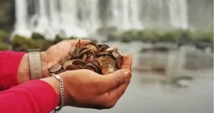 contaminación con monedas