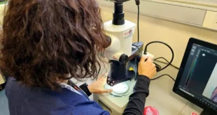 Laboratorio SENASA