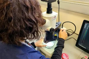 Laboratorio SENASA