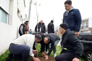 Día del Árbol: Luján plantó especies nativas