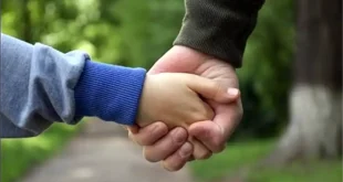Programa Familias Solidarias