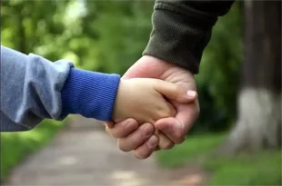 Programa Familias Solidarias