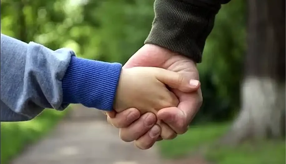 Programa Familias Solidarias