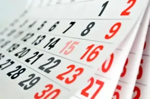 calendario pago anses