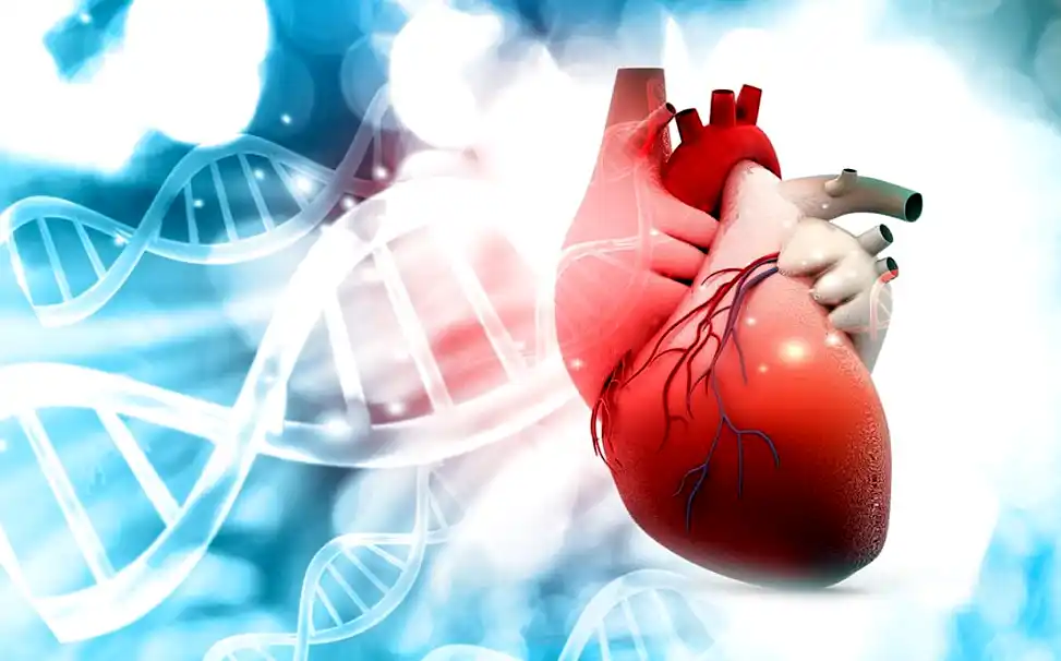 Enfermedades cardiovasculares: por qué la detección temprana puede salvar vidas 1 Enfermedades cardiovasculares