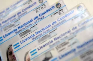 Licencias de conducir: Provincia extiende la prórroga por 120 días