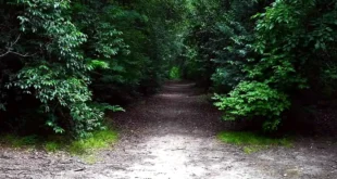 Reserva Natural Municipal Quinta de Cigordia: el pulmón verde de Luján