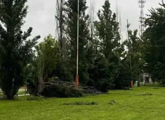 Luján Rugby Club informó sobre daños en los predios Luján Rugby Club informó sobre daños en los predios
