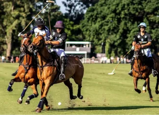 Polo: Luján se mide en la elite de la Triple Corona Polo: Luján se mide en la elite de la Triple Corona